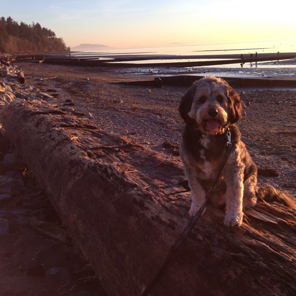 Meet your Posher, Sheila